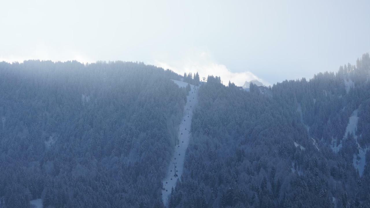 Appartamento Haus Edeltraud Mellau Esterno foto